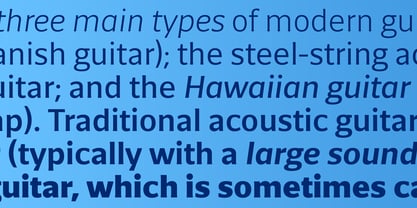 Foreday Sans Font Poster 2